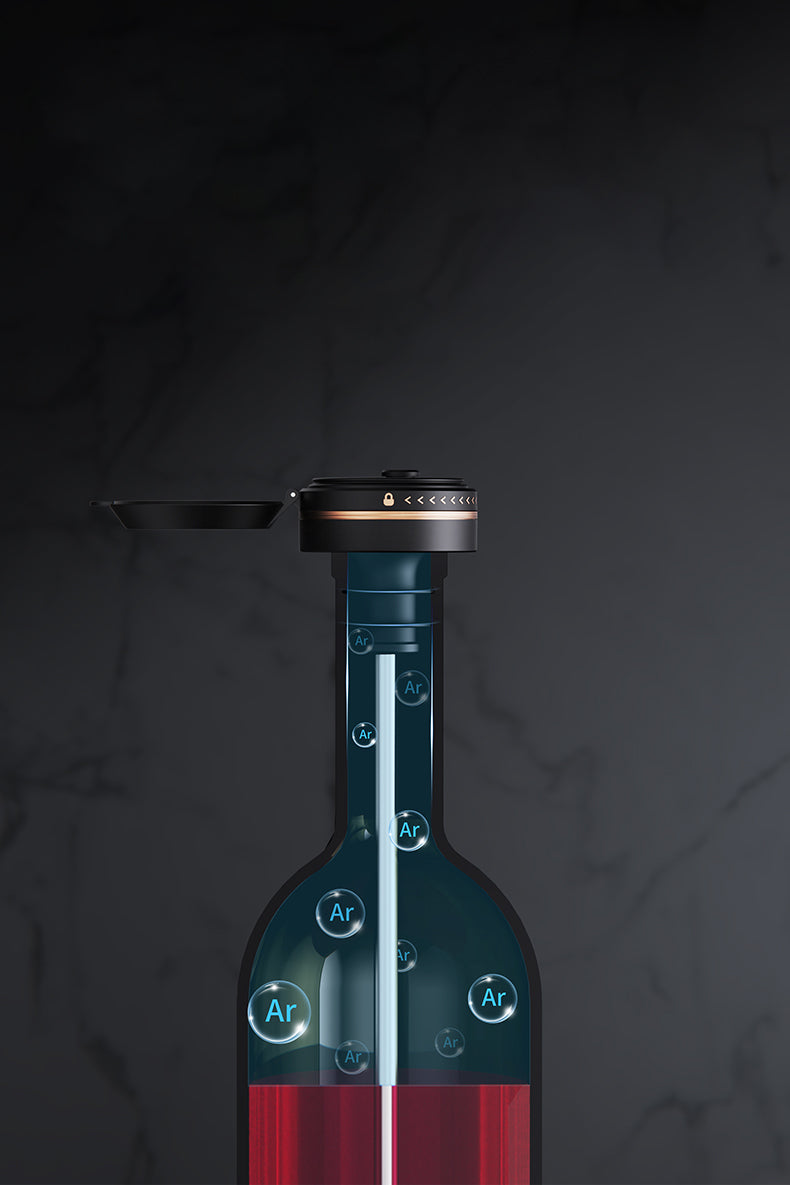CONNOISSEUR - Système de préservation du vin et son support de présentation